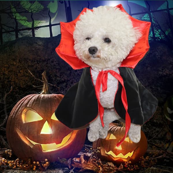 Halloween Kæledyr Kat Hund Vampyr Kappe Kåbe Hat Cosplay kostume