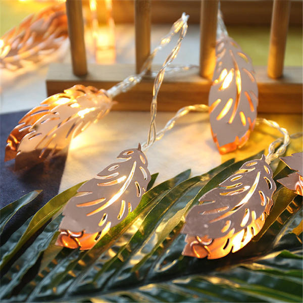 Järnfjäder, LED String Light -2 meter lång 10 lampa [Två smetar