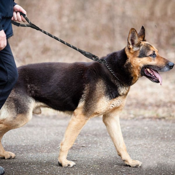 Kort hundkoppel, cirka 3,9 fot långt, med vaddering