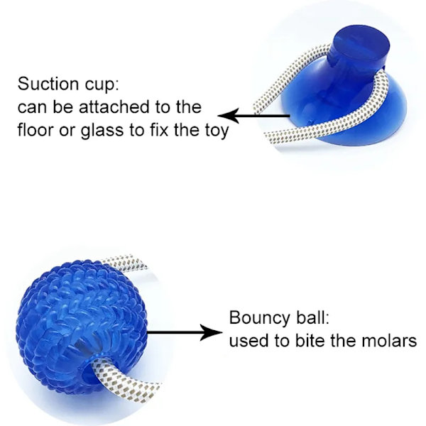 Interaktiva hundleksaker Husdjursvalp Sugkopp Push TPR Bollleksaker Molar Bite Toy Elastiska rep Hundtandrengöring Tuggtillbehör blue