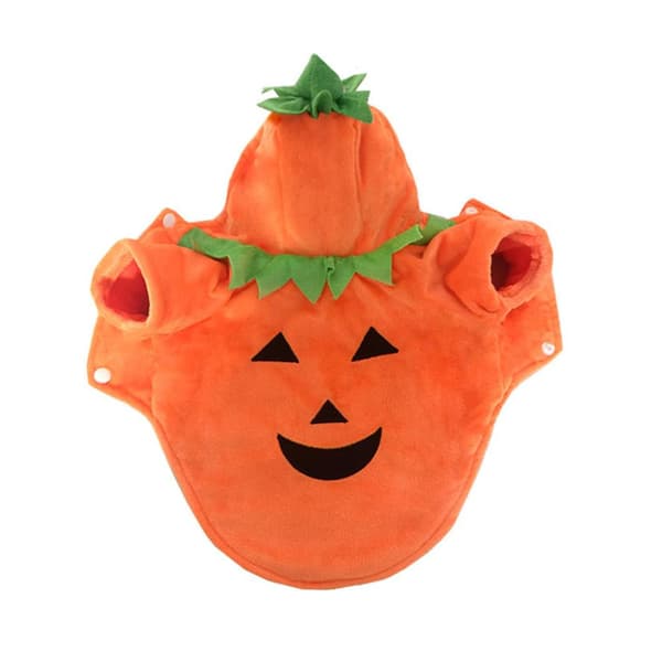 Djurkläder pumpa Halloween kläder hundkläder nya orange L