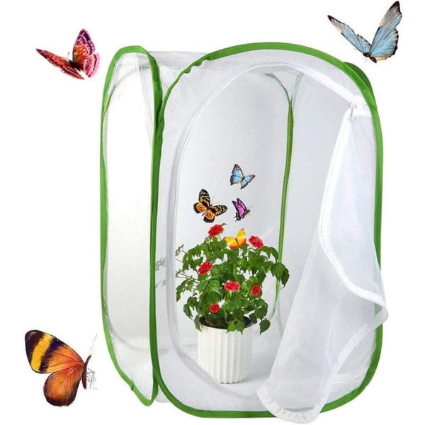 Butterfly Habitat Mesh insektsfångare Nätnät Insektsväxtbur Terrarium Pop up för barn/söta/ toddler fånga syrsor/eldflugor etc