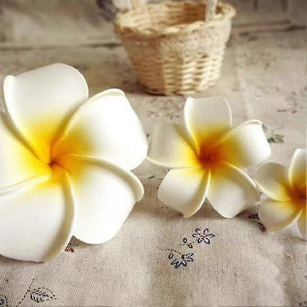 3 st Hawaiianska Plumeria Blomma Hårprydnad Hårnål Håraccessoar Maskerad För Bröllop
