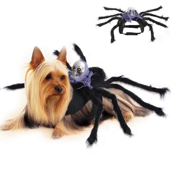 Halloween xmas julklappar dekoration husdjur spindel bröst rygg kreativa kläder nya B35106 green L