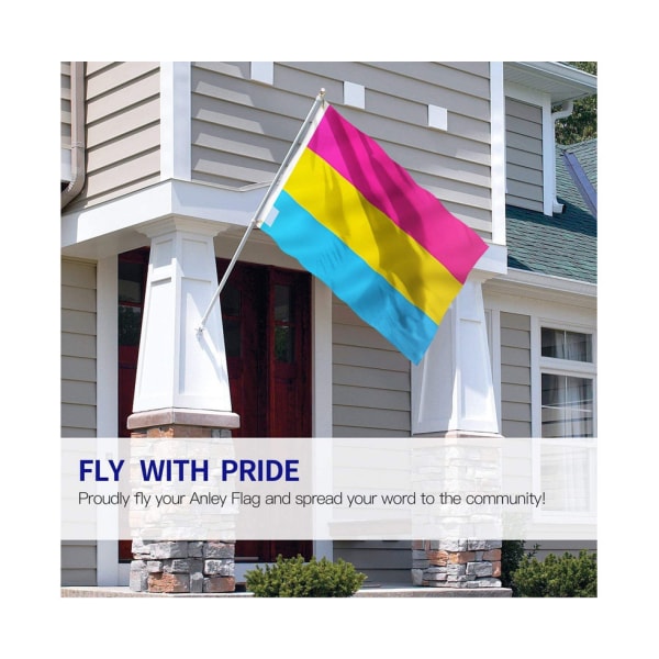90*150cm Transgender Dubbelsidig Pan-gender Flagga