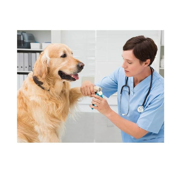 Blå Nagelklippare och trimmers för husdjur med säkerhetsskydd