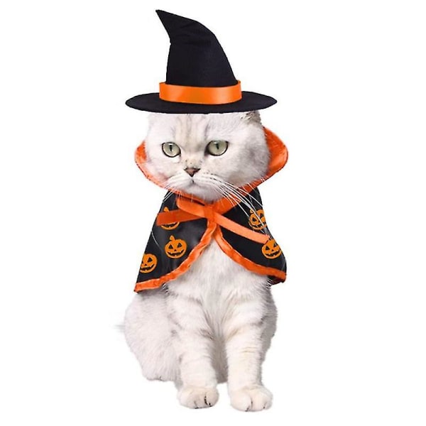 halloween katt husdjur wizard kostym,