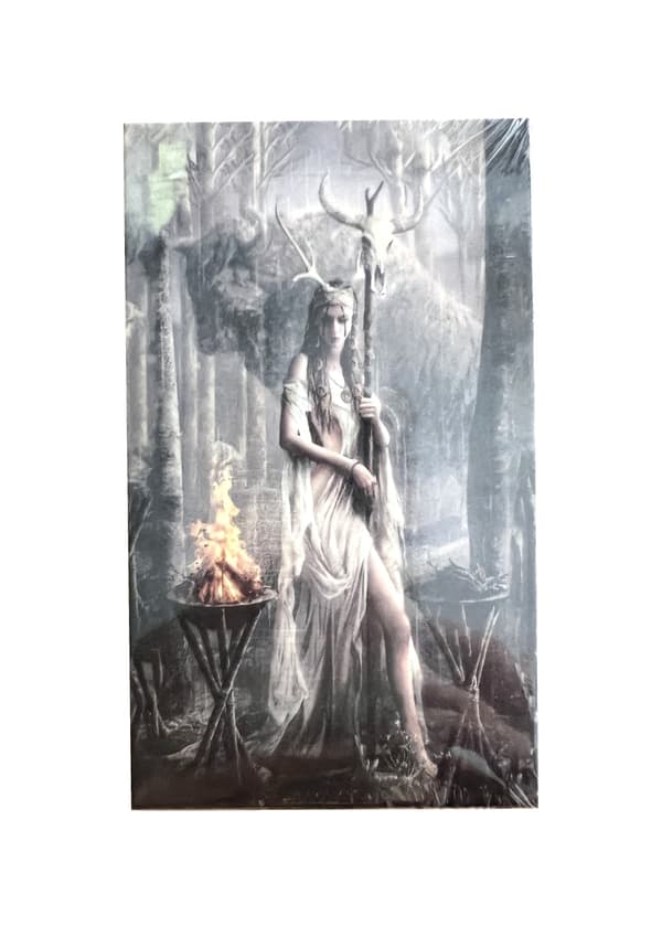 Runic Oracle Tarot Card  Spådomskort