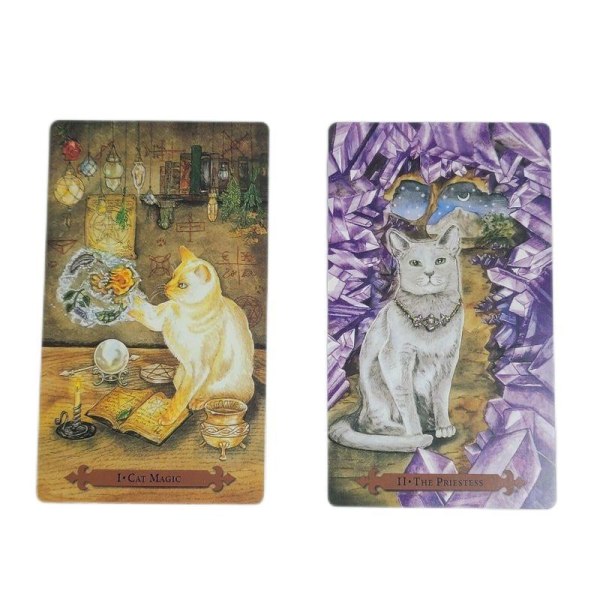 mystisk katt tarot Utlåtande kort