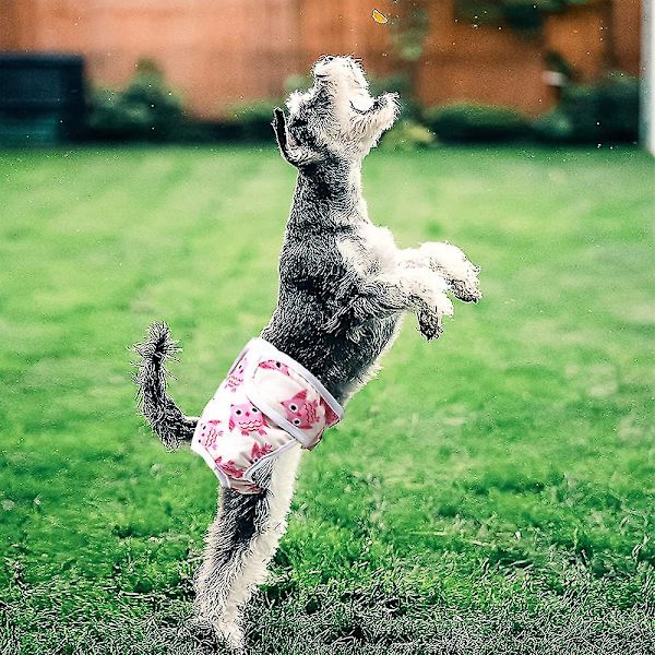 Paket med 3 återanvändbara tvättbara hundblöjor, högabsorberande hundfysiologiska byxor Sanitetsblöja Trakasserier av husdjur Förebyggande Fysiologisk Pa null none