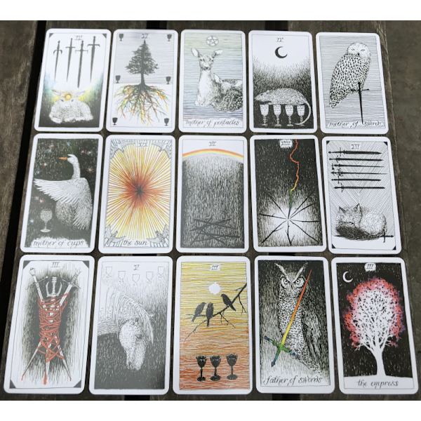 vild okänd Oracle Tarot Card kort Spådomskort