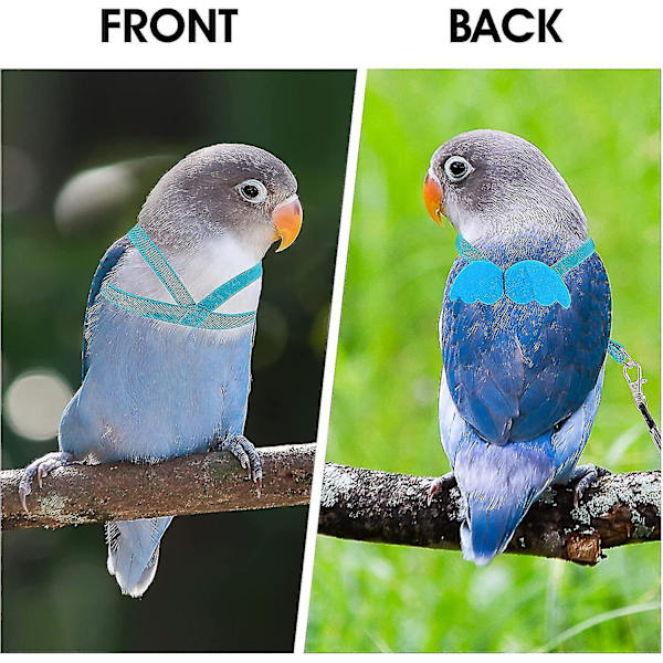 Justerbar fågelsele med 80 tums koppel, träningsrep för utomhusflygkit för fåglar Papegojor Cockatiel Blue XS