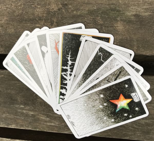 Wild unknown tarotkort Utspridning av kort