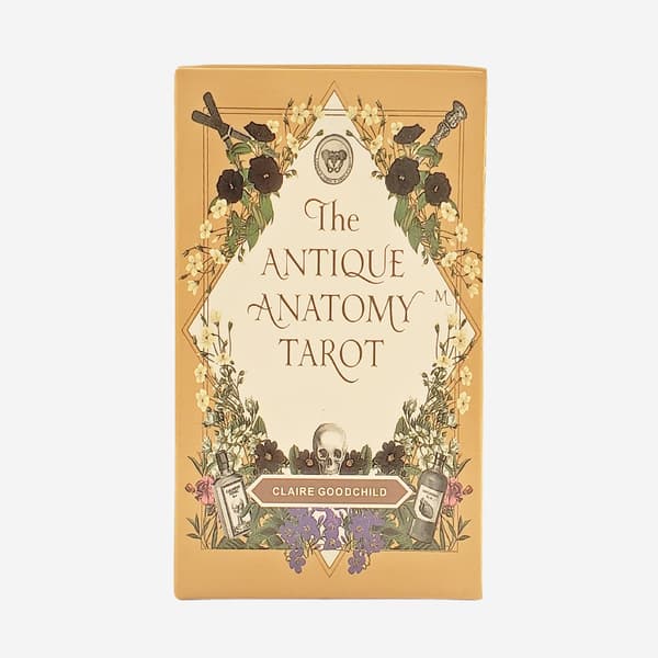 Det antika anatomi Oracle Tarot Card