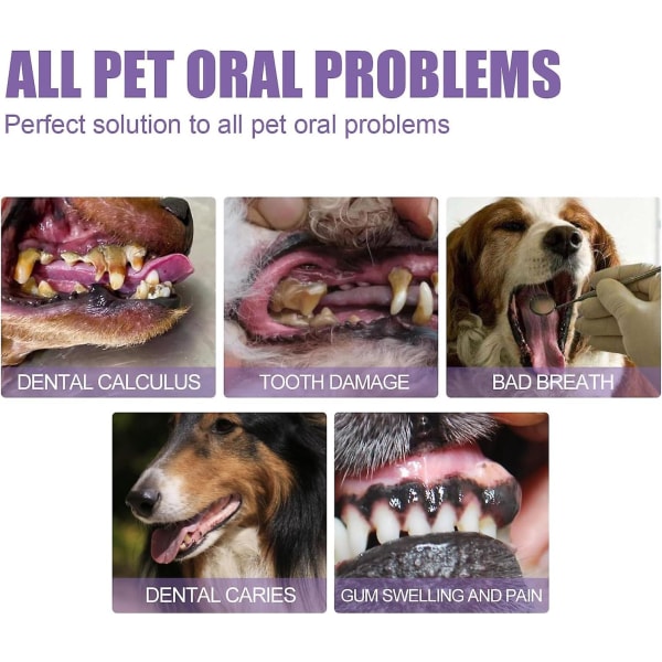 Pet Oral Repair Gel,pet Oral Restorative Gel,gel De Rparation Bucco,pet Breath Freshener Gel Care Cleaner för hundar och katter 2 Pcs