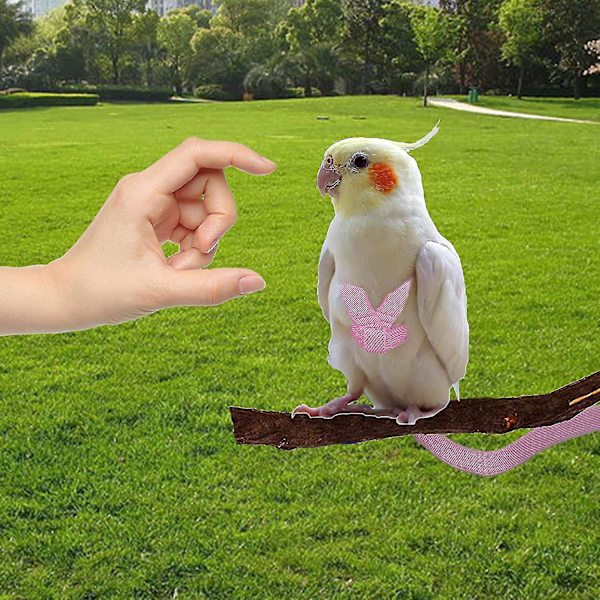 Justerbar fågelsele med 80 tums koppel, träningsrep för utomhusflygkit för fåglar Papegojor Cockatiel Pink XS