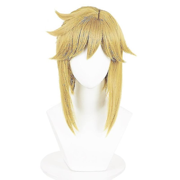 Game Legend Link Cosplay för vuxna och barn Tears Of The Kingdom Costume Full Set Man Halloween Carnival Costume Whbyv With wig 2XL