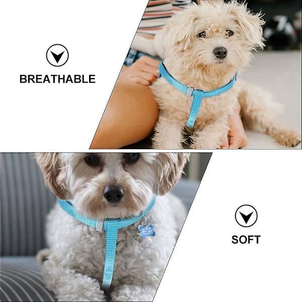 Kanin och sällskapsdjur drarrep och koppel Kanin koppel Kanin Sele Rem Pet Justerbar krage koppel Sköldpadda Walking Leash Kontrollrep Blå null none