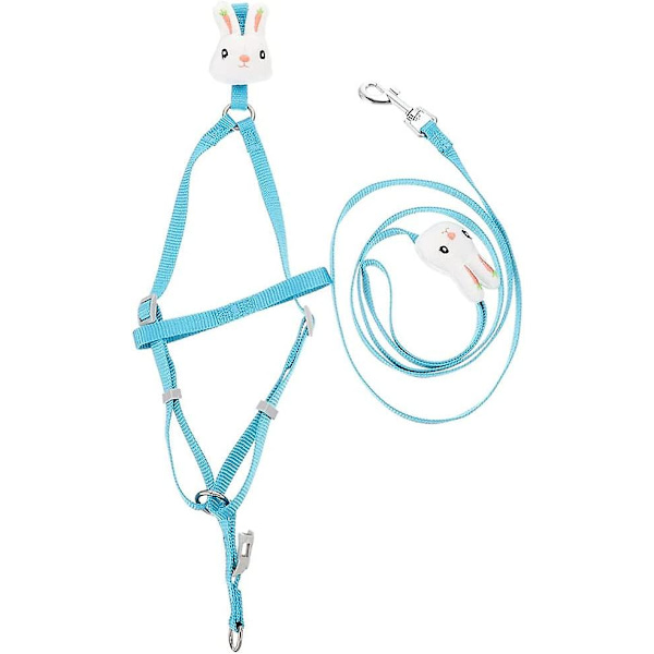 Kanin och sällskapsdjur drarrep och koppel Kanin koppel Kanin Sele Rem Pet Justerbar krage koppel Sköldpadda Walking Leash Kontrollrep Blå null none