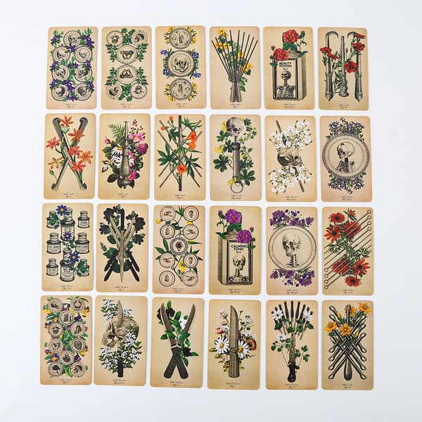 De antika anatomiska tarotkort som är divinerande.