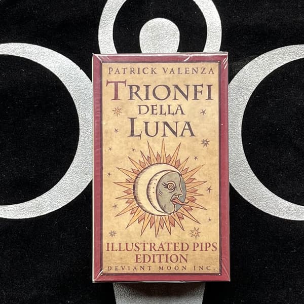 Tarotkort Engelska versionen illustrerad pips utgåva