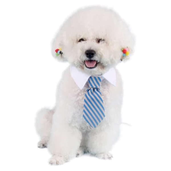 Katt Formell Eck fluga Husdjur Hund Katt Rosett Slips Hund Valp Slips null none