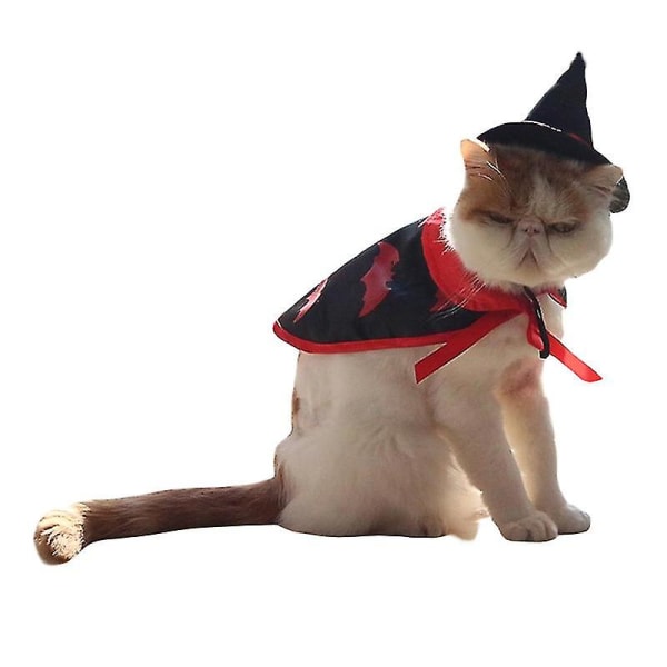 halloween katt husdjur wizard kostym,2