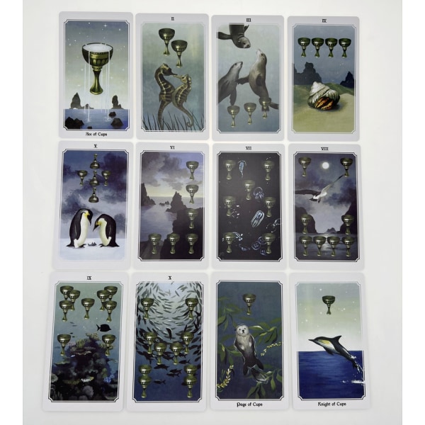 10,3*6 anima mundi Oracle Tarot Card-kort Spådomskort
