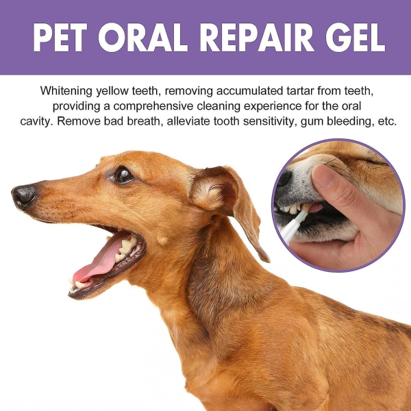 Pet Oral Repair Gel,pet Oral Restorative Gel,gel De Rparation Bucco,pet Breath Freshener Gel Care Cleaner för hundar och katter 4 Pcs