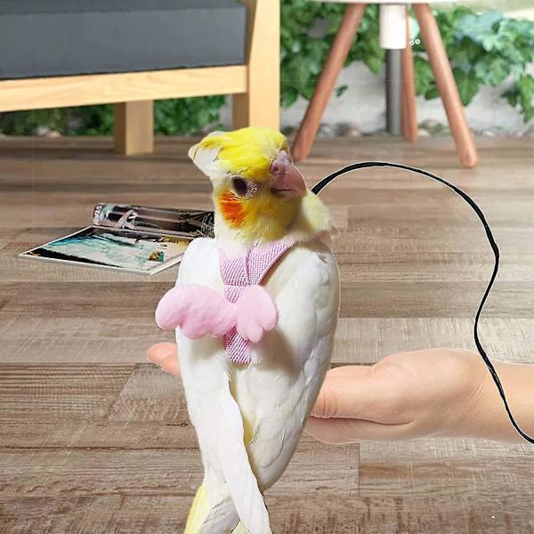 Justerbar fågelsele med 80 tums koppel, träningsrep för utomhusflygkit för fåglar Papegojor Cockatiel Pink XS