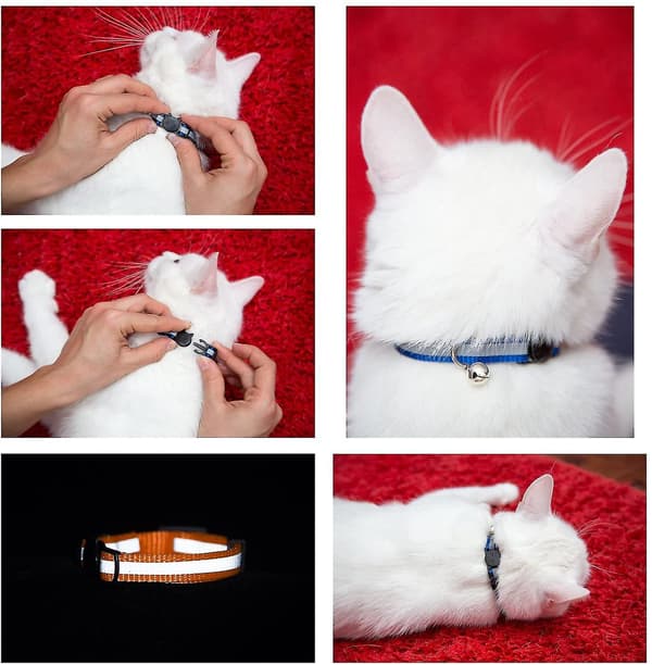 Reflekterande katthalsband Bell Säker nylon Pet Collar Breakaway null none