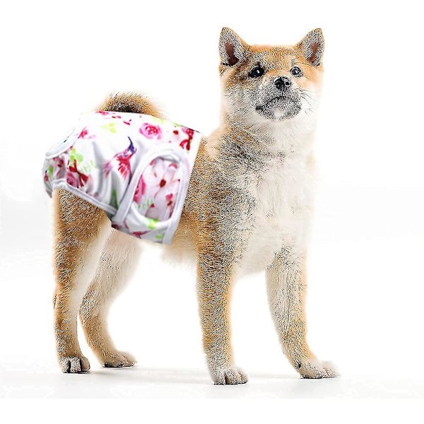 Paket med 3 återanvändbara tvättbara hundblöjor, högabsorberande hundbyxor style 2 M