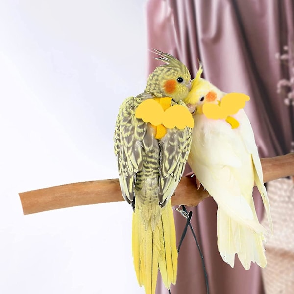 Justerbar fågelsele med 80 tums koppel, träningsrep för utomhusflygkit för fåglar Papegojor Cockatiel Yellow XS