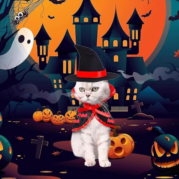 halloween katt husdjur wizard kostym,2