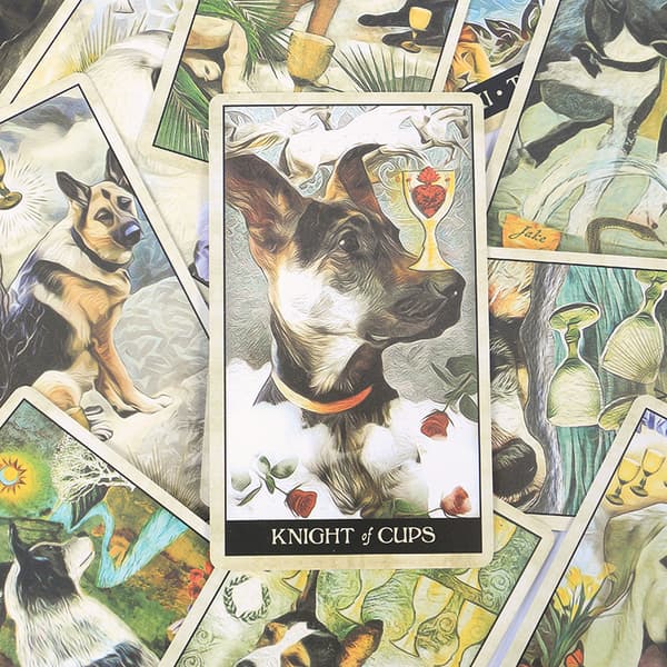 vis gud tarot