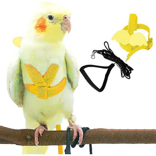 Justerbar fågelsele med 80 tums koppel, träningsrep för utomhusflygkit för fåglar Papegojor Cockatiel Yellow M