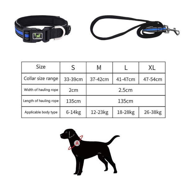 Reflekterande hundhalsband Polyester Pet Halsband Justerbart för kattunge och liten hund Blue 20mm leash M