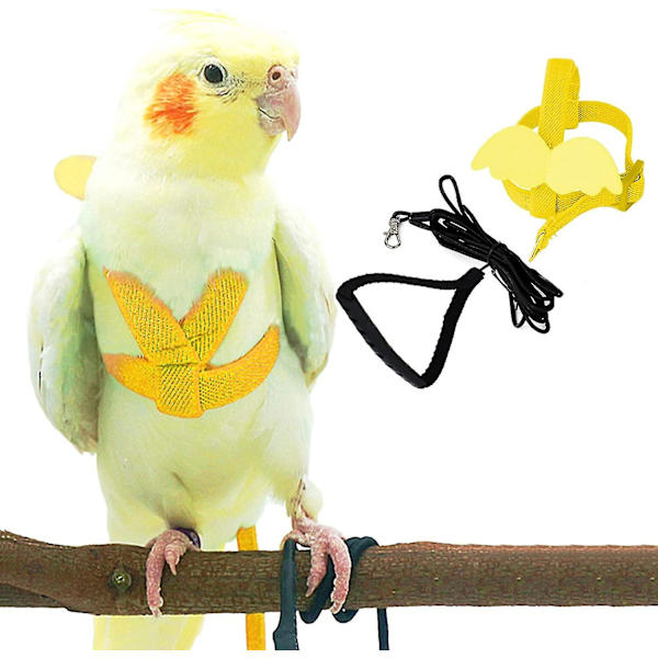 Justerbar fågelsele med 80 tums koppel, träningsrep för utomhusflygkit för fåglar Papegojor Cockatiel Yellow M