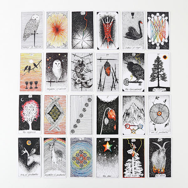wild unknown tarotkort Divination Cards