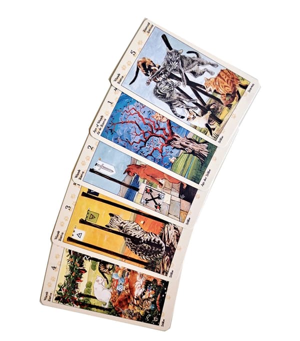 TAROT AV PAGAN KATTER Divination Cards