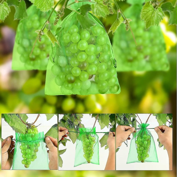 100 st Bunch Protection Bag 30x20cm/10x15cm Grape Fruit Organza Bag Med Dragsko ger totalt skydd 15cm