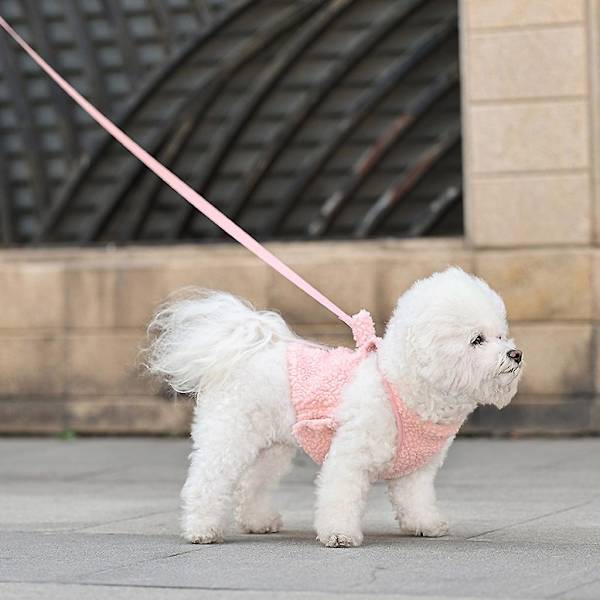 Justerbar sällskapsdjur bröst rygg dragrep Väst Set Soft Cute Out Walking Dog Rep