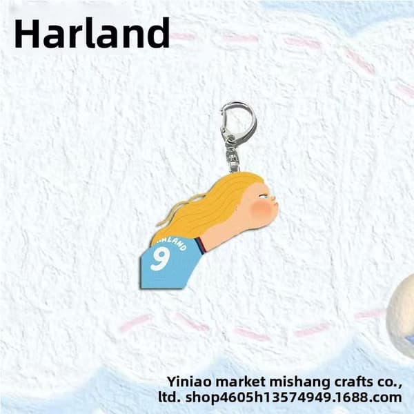 Harland anime abstrakt fly akryl nøglering rygsæk vedhæng gave til studerende 10 random models 5cm