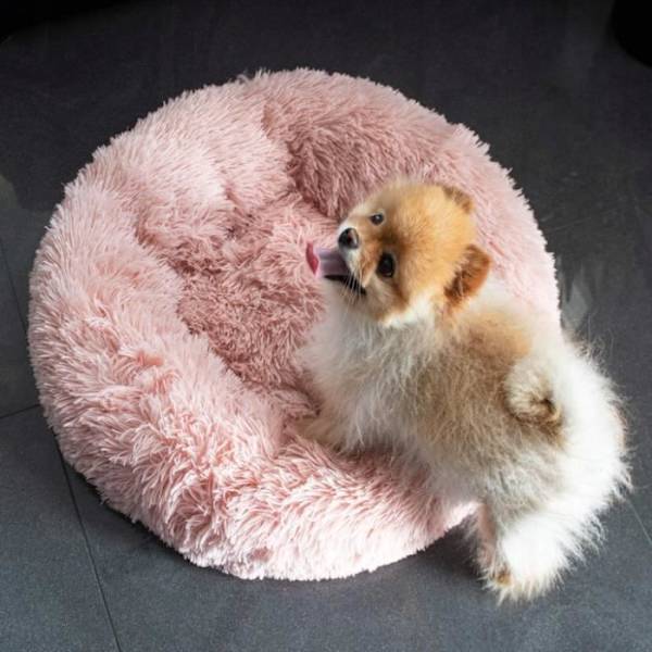[Køje til hunde og katte - SPRINGOS® - 80 cm - Lyserød - Blødt fyld - Vaskbar ved 30°] ljusrosa