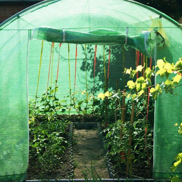 Springos® Viljelytunneli Kaarevalla Katolla ja Ikkunoilla 300 x 600 x 200 cm Grön