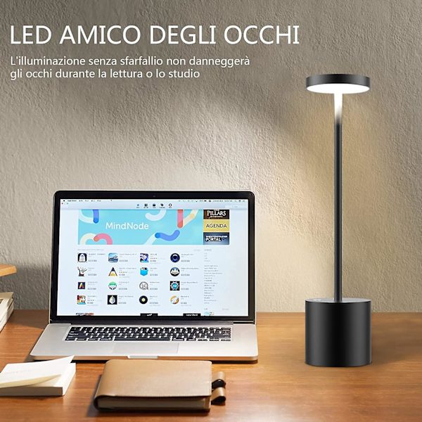 Sladdlös bordslampa, laddningsbart batteri, 2 ljusstyrkanivåer, sänglampa, för vardagsrum, sovrum, kontor, studio (ZYH)