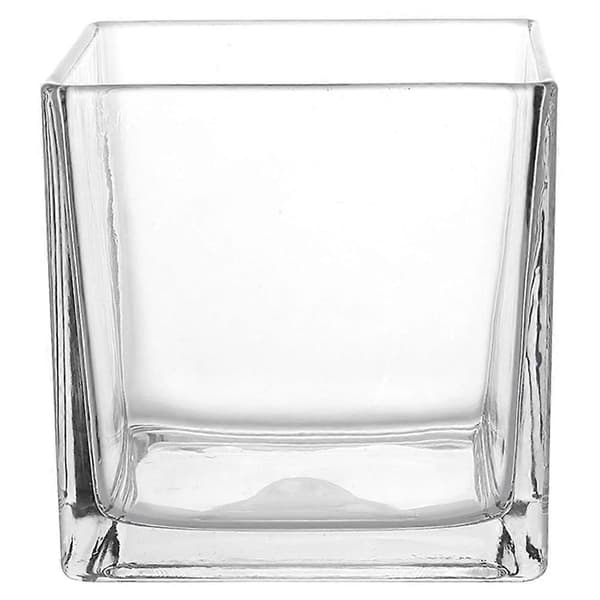 Fyrkantig Glasvas Klar Kubvas Hydroponisk Vas Modern Blomvas Planter (15x15cm)