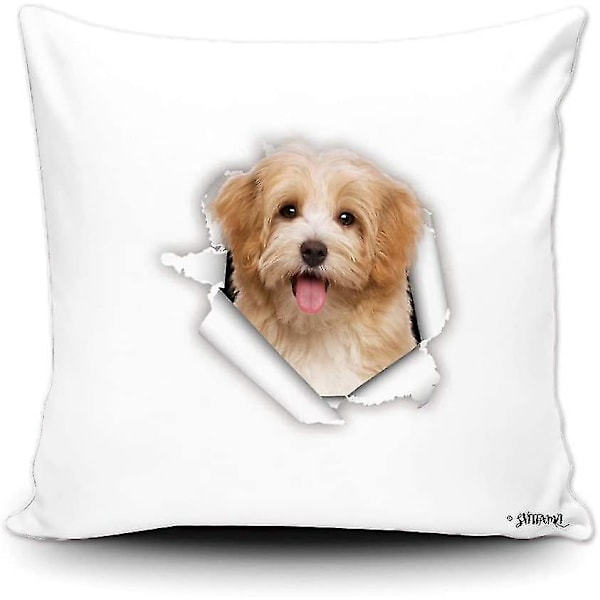 Vacker glad rödaktig havanais hund Heminredning Fyrkantigt cover 18 X 18 tums rivpapper örngott för soffa soffa sovrum (DPD)