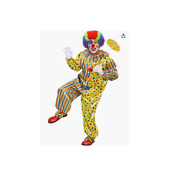 Clown-skor för vuxna, flerfärgade, en storlek, gröna (ZYH)