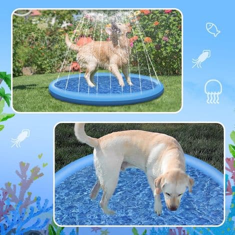 Oppblåsbart hundebasseng - 100 cm - Sammenleggbart - Tykt - Lekematte for sommer, hage, strand, bakgård - Blå